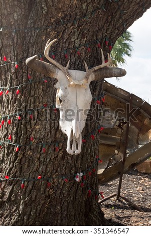 Cow skull hanging on a tree with red Christamas lights in Houston, Texas