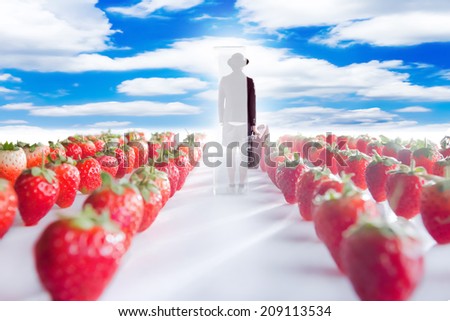 musician boy stand between strawberry field and look ahead