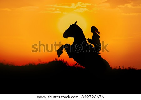 A girl riding a horse performs a trick on a background of dawn. The horse stands on its hind legs. Silhouette of man and horse in the field