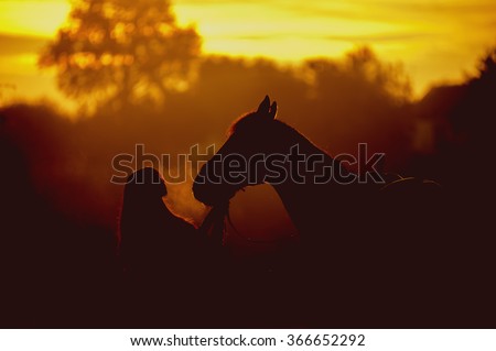 Silhouette of a girl and a horse on a background of dawn. Horse breathing vapor. A man kisses a horse