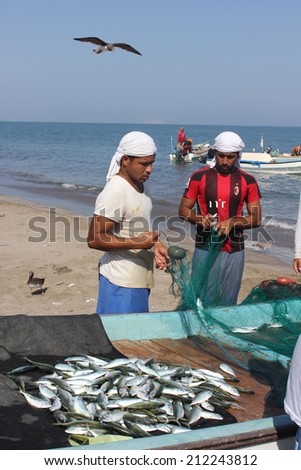 Barka, Oman, October 20, 2013: Daily Fish market in Barka, Oman, were fresh seafood is sold everyday. Fishermen and their boat on the beach, with the catched fish and a bird behind.