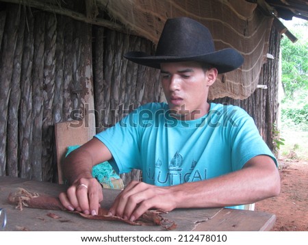 Vinales, Cuba, August 12, 2012: Cuban guy making typical Cubano cigars. Real Cubano cigars are handmade by people using the best tobacco quality.