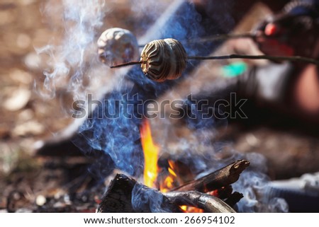 Marshmallow on a stick roasted over a camping fire