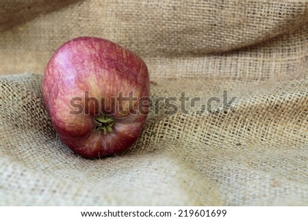 Red Stark apple on the burlap background. Copy paste