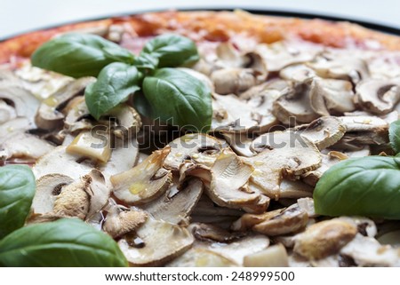 Mushroom pizza close up
