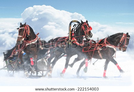 Troika The horses, beautiful Famous Russian horse trio 