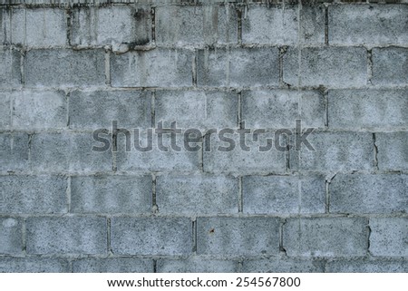 old cement blocks wall