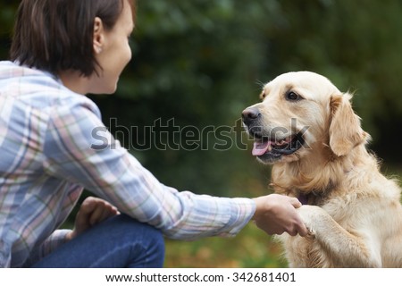 Pet Golden Retriever And Owner Playing Outside Together