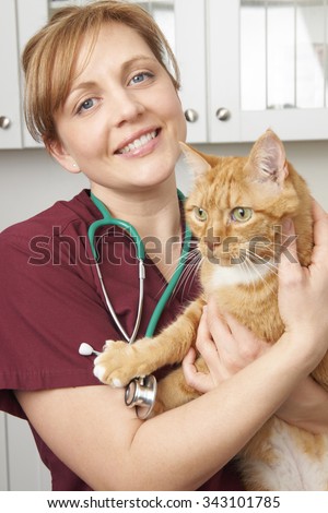 Veterinary Nurse Holding Cat In Surgery