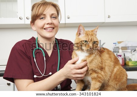 Veterinary Nurse With Cat In Surgery