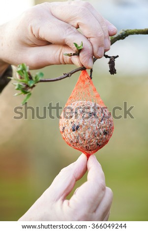 Man Hanging Bird Food In Winter Garden