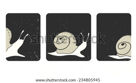 Drawing of snail
