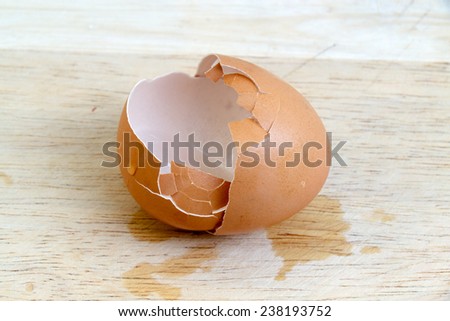 egg shells on the wooden floor.