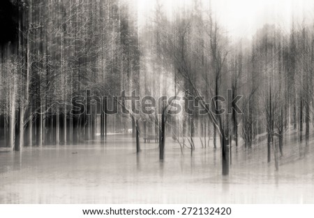 blurred abstract background photo of Beautiful park at Nami Island, South Korea. with surreal motion blur effect