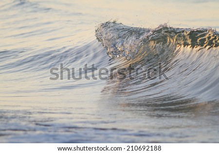 Ocean waves roll in the morning