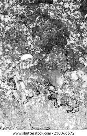 Marble patterned (natural patterns) texture background, abstract marble texture background in black and white.