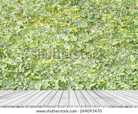 Backdrop trees wall  and white wood slabs arranged in perspective texture background.