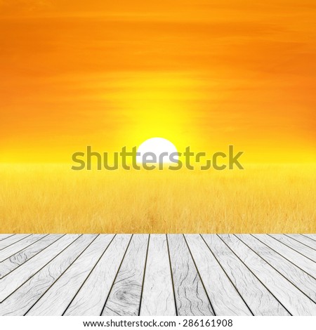 Meadow with a beautiful golden sky in the morning, the sun was rising and wood slabs arranged in perspective texture background.