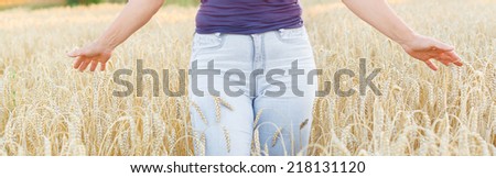 Woman hand touching wheat ears on the field in warm sunlight