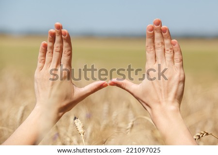 Woman hand touching wheat ears on the field