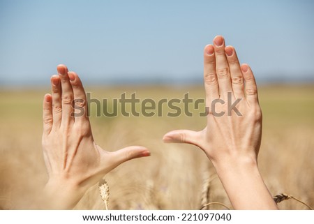 Woman hand touching wheat ears on the field