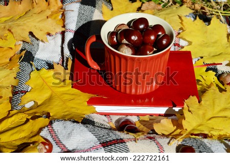 chestnuts in a bowl,autumn,autumn themes,yellow leaves,the sun,book,diary,tartan plaid,