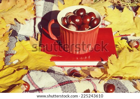 chestnuts in a cup,autumn,autumn themes,yellow leaves,the sun,book,diary,tartan plaid,