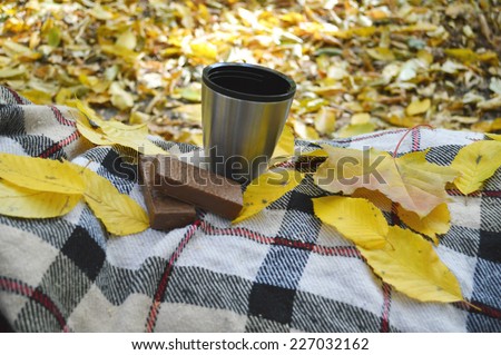 autumn picnic in the park, tea in a thermos  sweets
