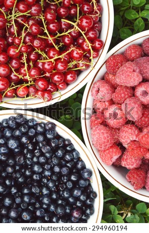 summer berries,blueberries, raspberries, currants, wigs on the background of green grass.summer concept
