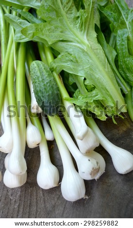 young garlic, cucumber, lettuce, spinach on the kitchen table