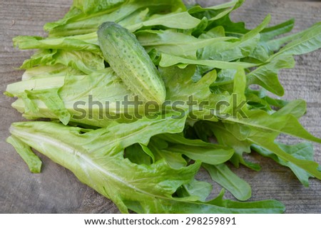young garlic, cucumber, lettuce, spinach on the kitchen table
