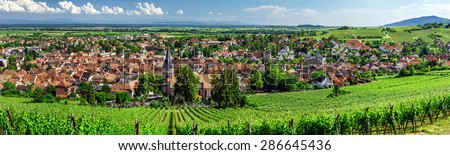Wide panoramic view to Alsace vineyards, France. Nature and agriculture.