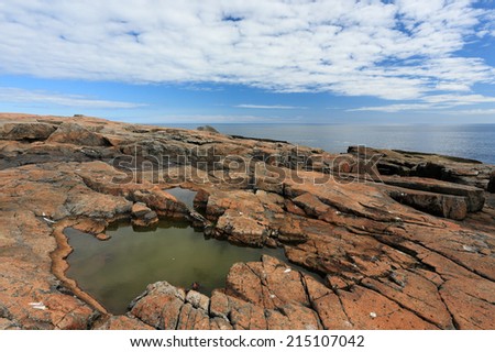 Water Puddle at Schoodic Point Acadia National Park