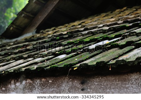roof is covered with green moss