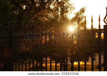 The sun\'s rays at sunset, the light through the bars of the fence