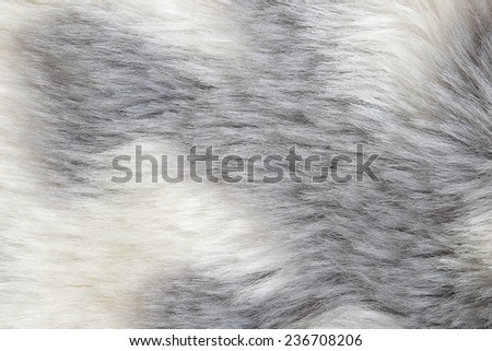 White fur texture background
