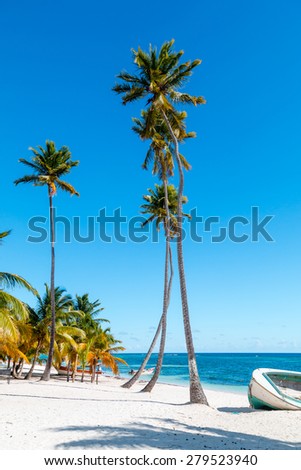 Tropical sandy beach with high palm trees, turquoise water and boats, Dominican Republic
