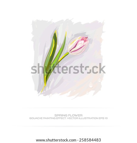 Spring flower. Tulip. Gouache painting effect. Vector illustration EPS 10.