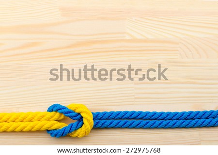 snail on a wooden surface, pebbles, shells, grass, wild flowers, sea, fishing net, rope yellow, blue and white