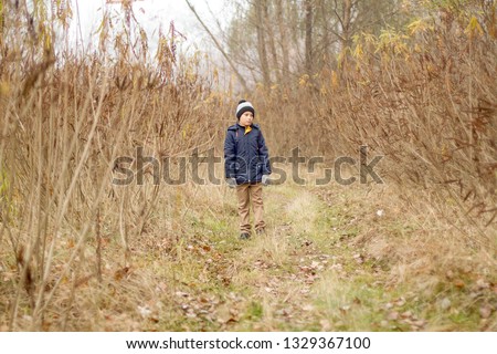 Child Was Lost in the Forest. Little Boy Lost his Way in the Forest. Sad Boy walks through the forest alone