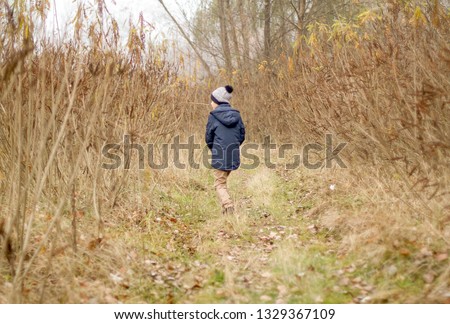 Child Was Lost in the Forest. Little Boy Lost his Way in the Forest. Sad Boy walks through the forest alone