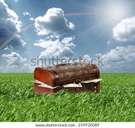 Treasures chest in green grass and blue cloudy sky, USA dollars in box