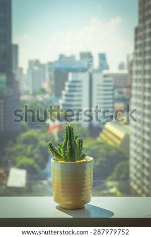 plant on window in office