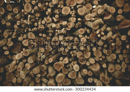 Firewood / Dry firewood in a pile for furnace kindling