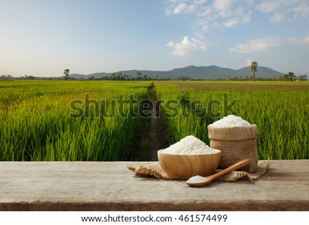 Asian white rice or uncooked white rice with the rice field background