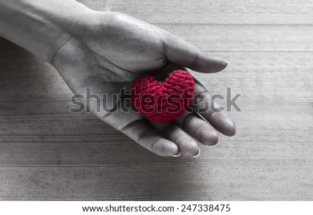 Red Heart Shaped Silk on Hands