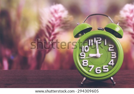 Clock on Wooden Floor with Flower Grass Background , Vintage Style