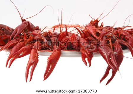 chinese crayfish cooked in dill brine
