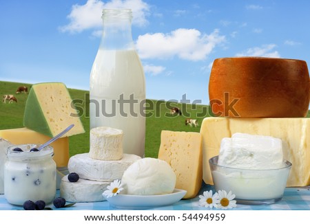 dairy products in glass containers and Cheese
