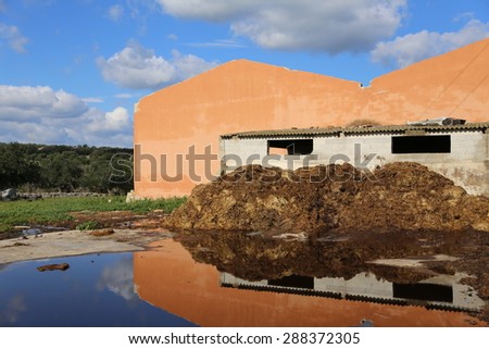 pile of manure in a Sicilian countryside. The mirror effect due to the presence of a puddle of water